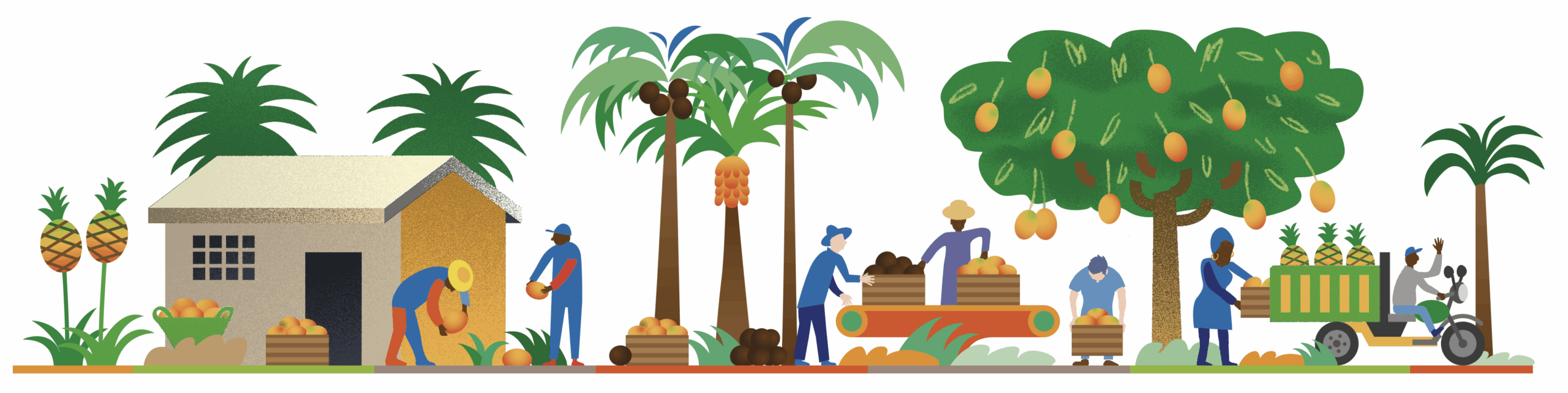 Born Fruits - Versió Àfrica Mulricultural