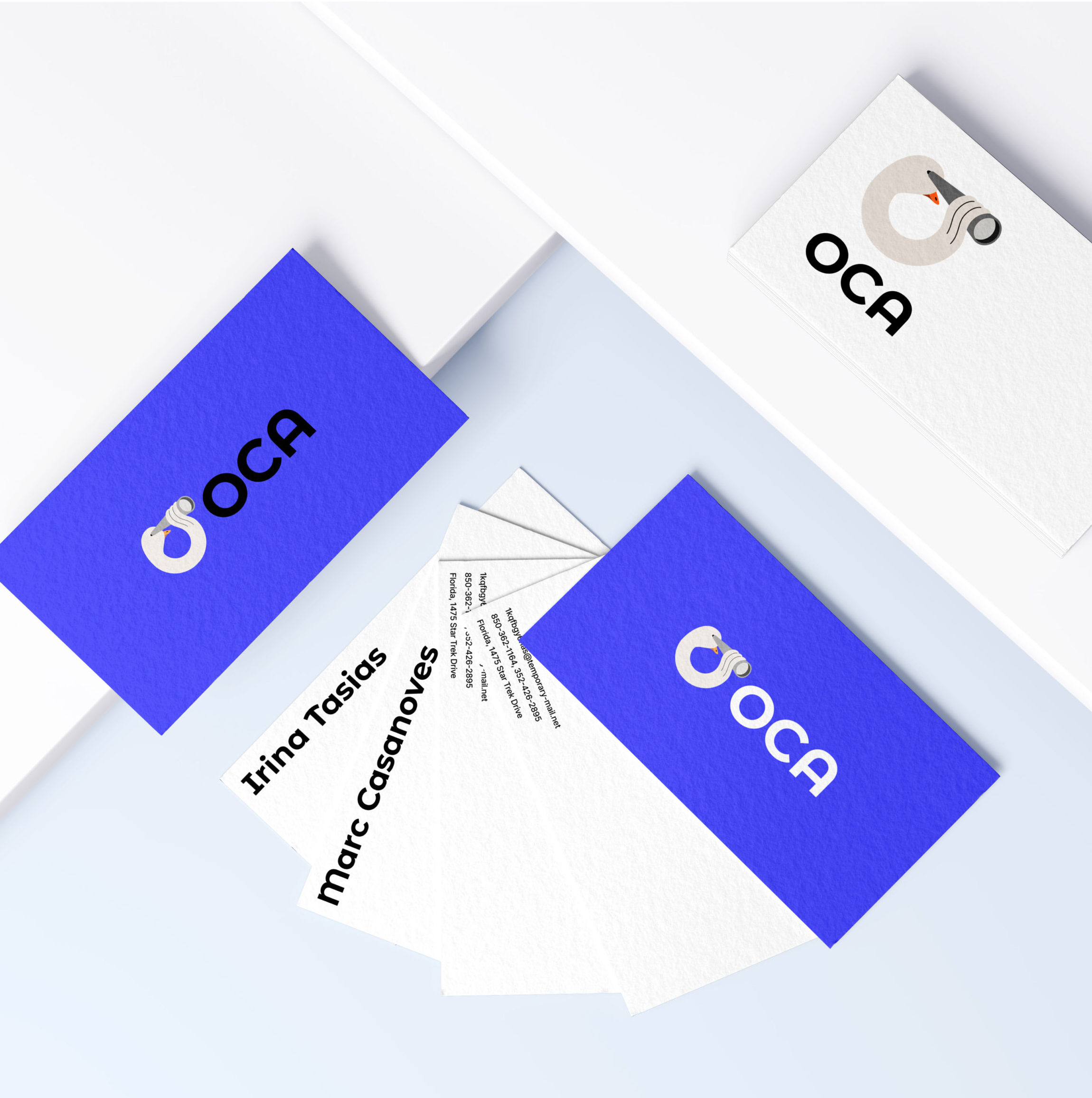 OCA logo Instagram promo_Mesa de trabajo 1 copia 4