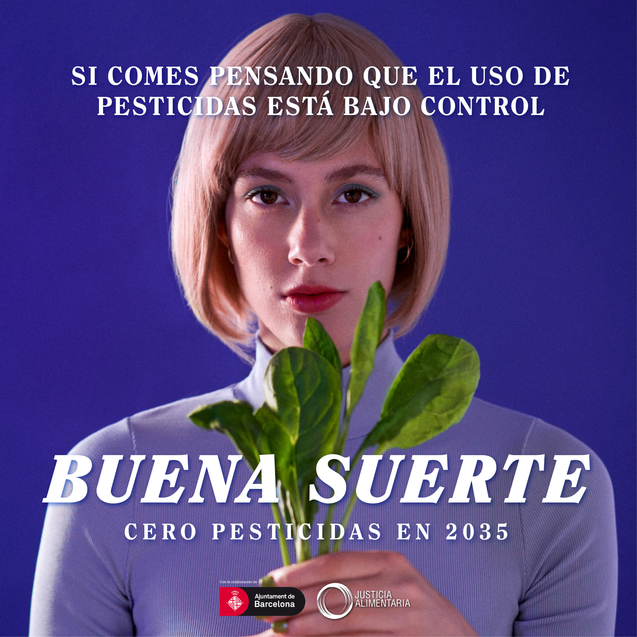 Espinacs_Quadrats_150ppp