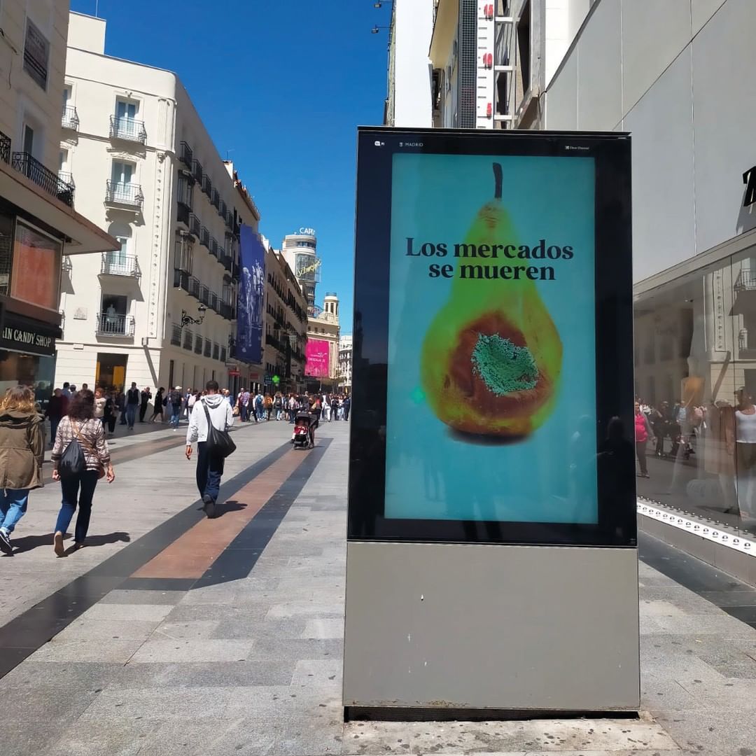 439605687_1296572588395900_3831491072087731232_n